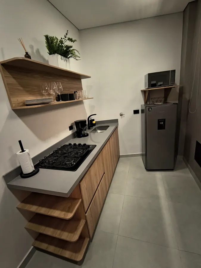 Edén Loft, apartaloft 101